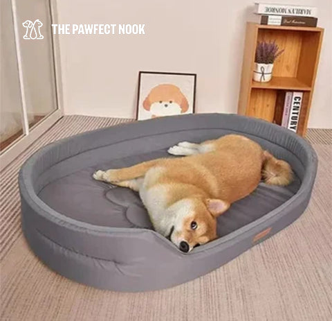 Dog laying on Grey Cushion Pet Bed