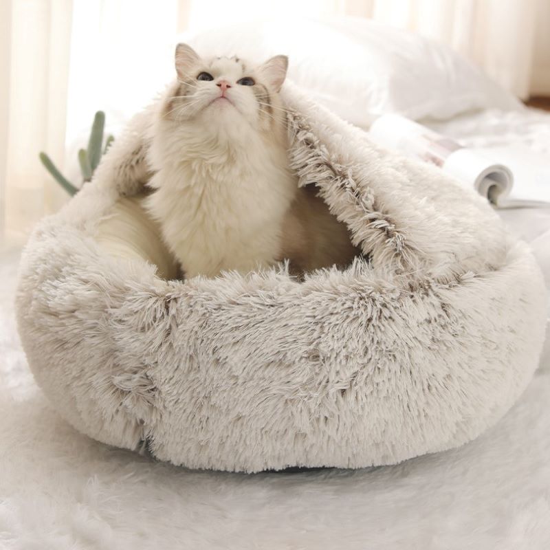 Cat on white cloud pet bed