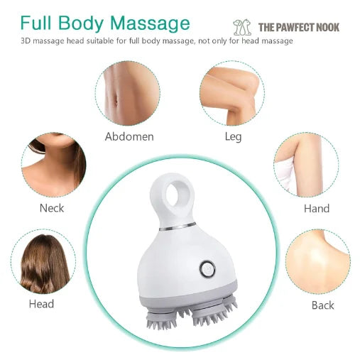 Full Body Massager