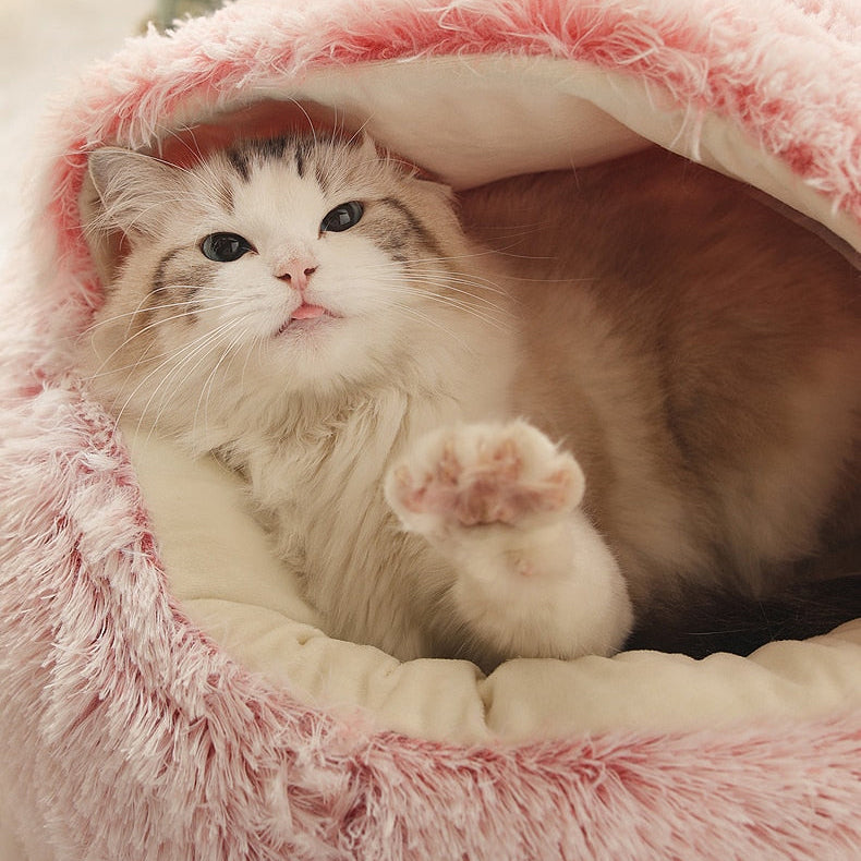 Cat laying in pink cloud pet bed