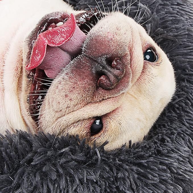 Dog on black cloud pet bed