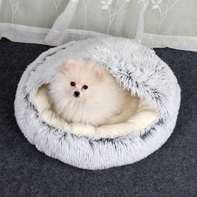 Dog Laying in white cloud pet bed