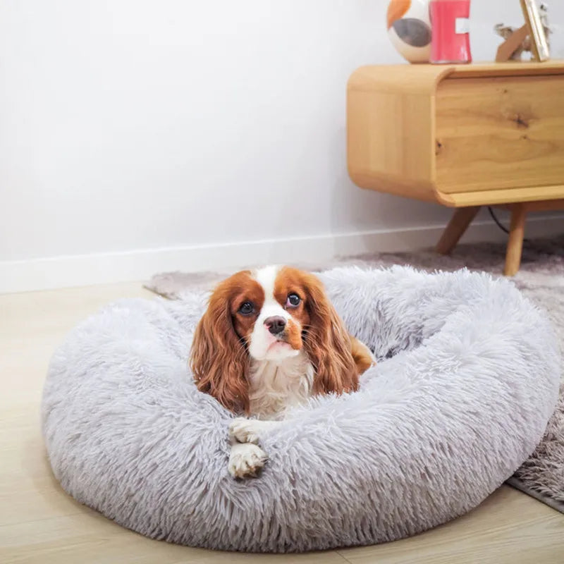 Super Soft Pet Plush Bed