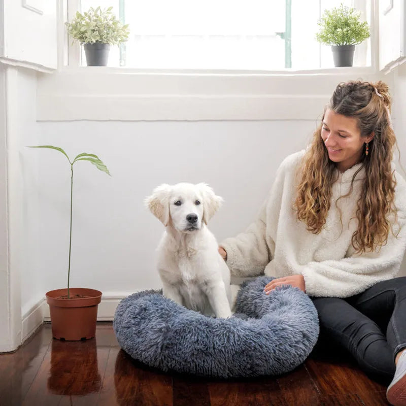 Super Soft Pet Plush Bed