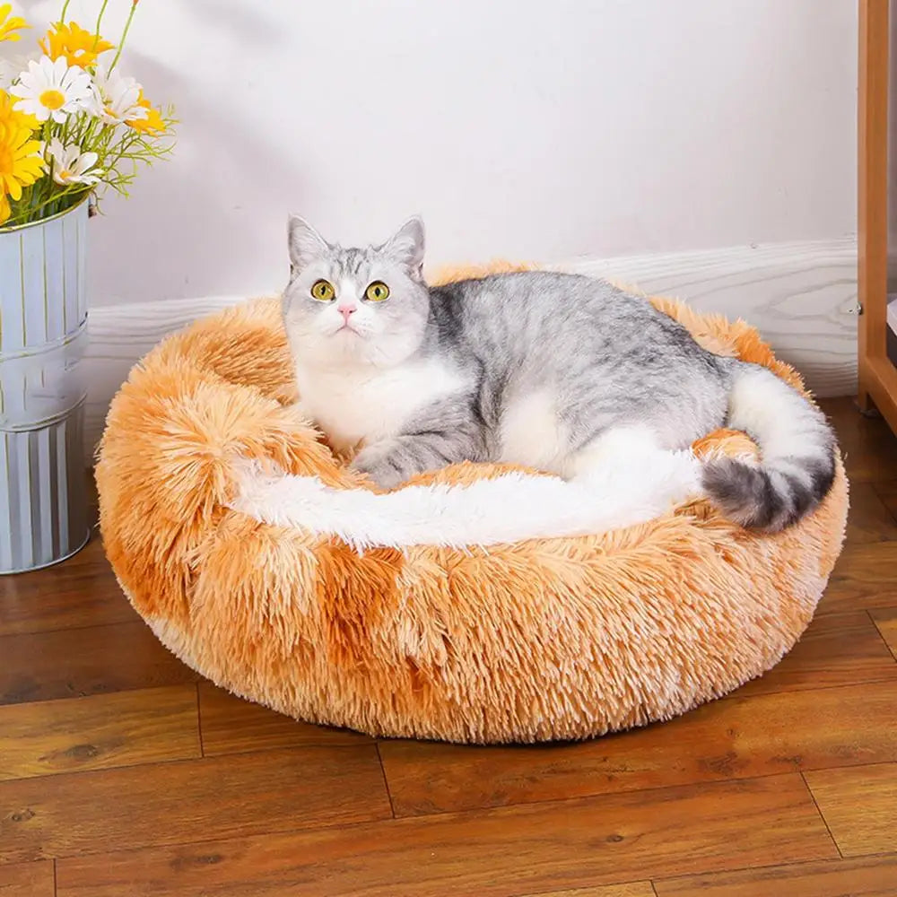 Cat with Yellow Plush Bed Pet