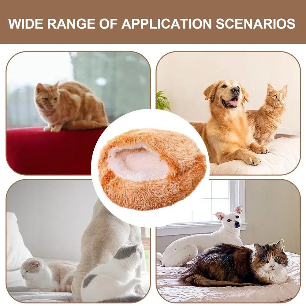 Cats and Dogs with Soft Plush Pet Bed