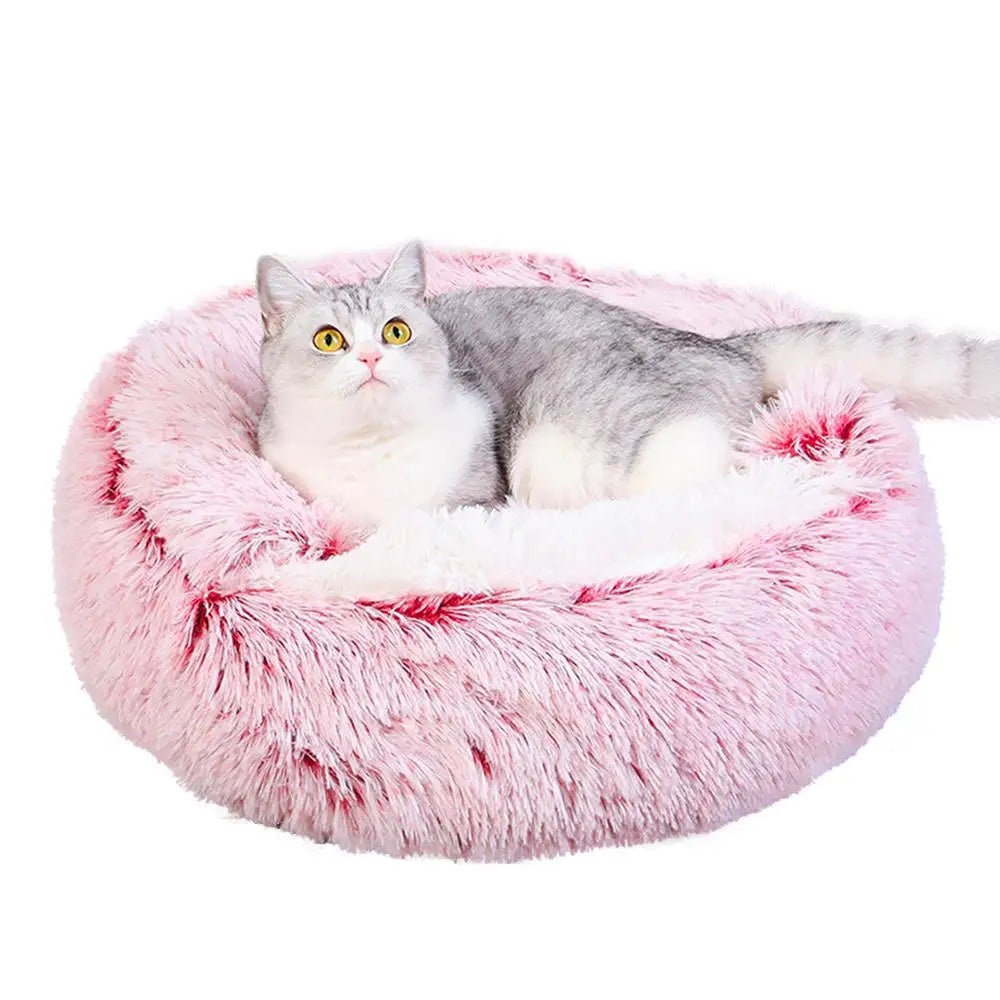 Gray cat on Pink Plush Pet Bed