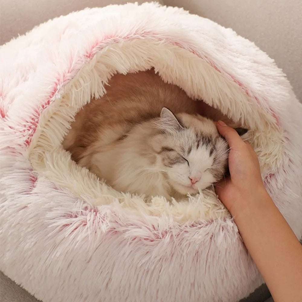 Cat in cloud pet bed enjoying patting 