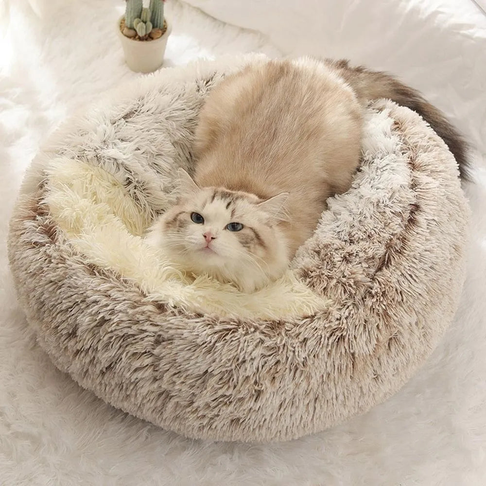 Brown cat laying on fluffy cloud pet bed