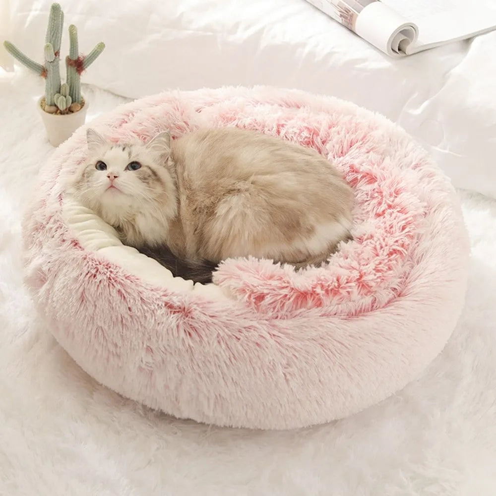 Cat on pink cloud pet bed looking upwards