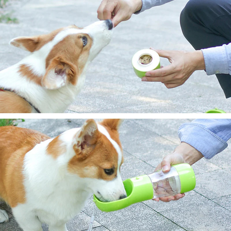 Pet Feeding Bottle & Bowl