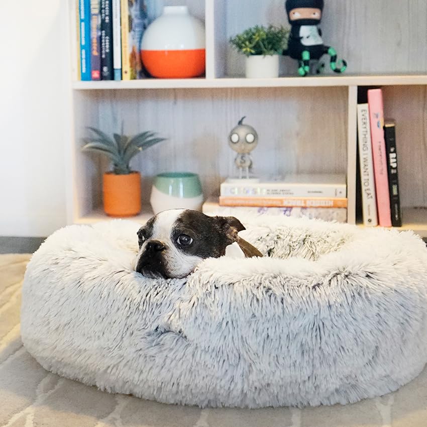 Dog on white cloud pet bed